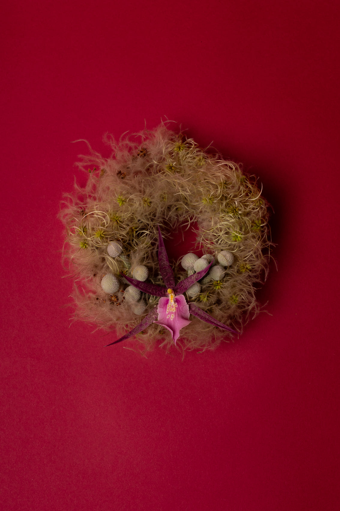 Mini Wreath Workshop (Los Angeles)